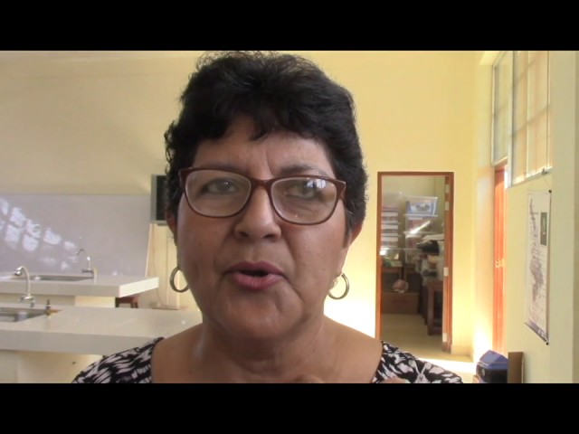 Olores fétidos en aula de I.E Tarapoto causa malestar en estudiantes Olores fétidos en aula de I.E Tarapoto causa malestar en estudiantes