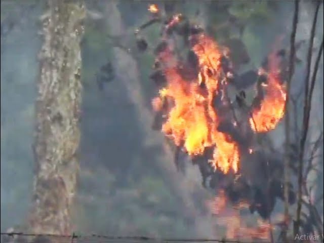 Continúan incendios forestales en la ciudad de Tarapoto