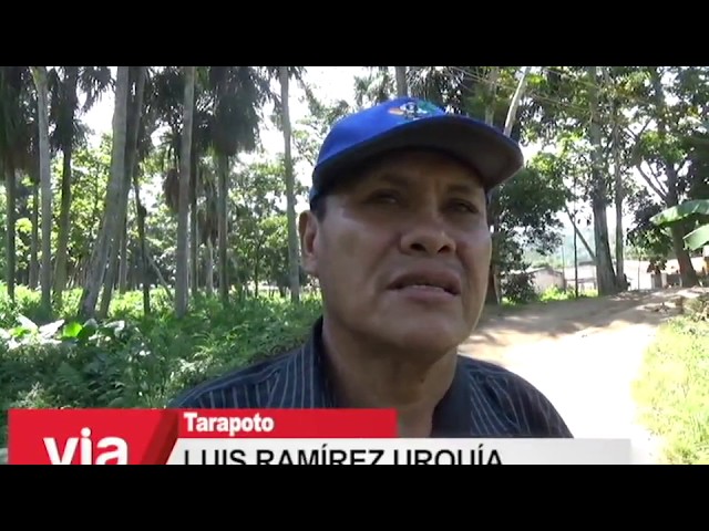 Falta de alumbrado público pone en riesgo a transeúntes del sector Achual Falta de alumbrado público pone en riesgo a transeúntes del sector Achual