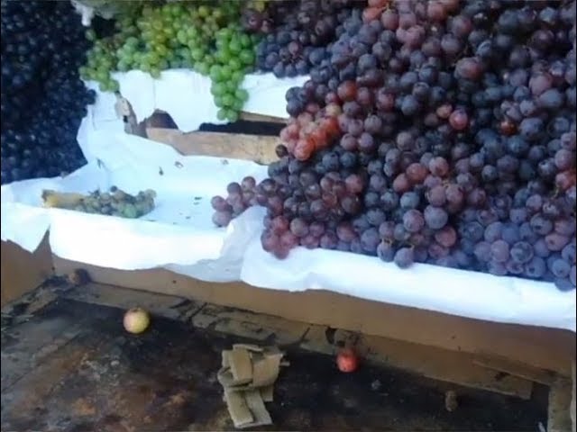 Clausuran puesto de venta de frutas por insalubre Clausuran puesto de venta de frutas por insalubre