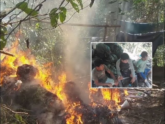 Detienen a 3 con 9 kg de droga y destruyen pozas de maceración Detienen a 3 con 9 kg de droga y destruyen pozas de maceración