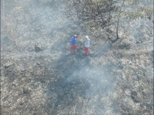 Incendio forestal arrasa dos hectáreas de pastizal Incendio forestal arrasa dos hectáreas de pastizal