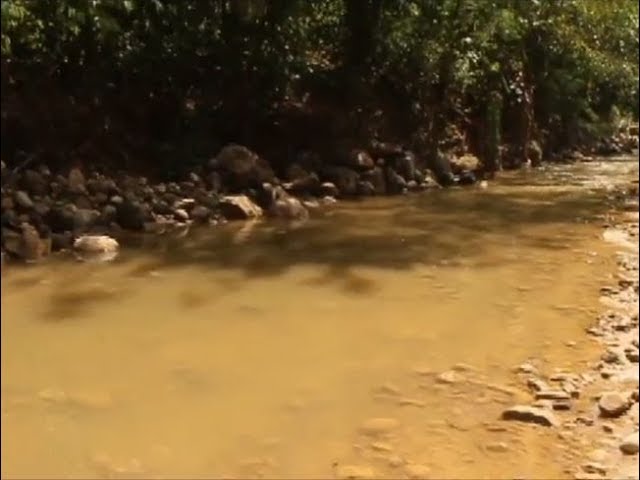 Inspeccionan contaminación por aguas servidas en quebrada de Las Palmas