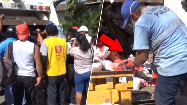 Bolsa con sangre y desagradable olor pone en zozobra a vecinos de 9 de Abril Bolsa con sangre y desagradable olor pone en zozobra a vecinos de 9 de Abril