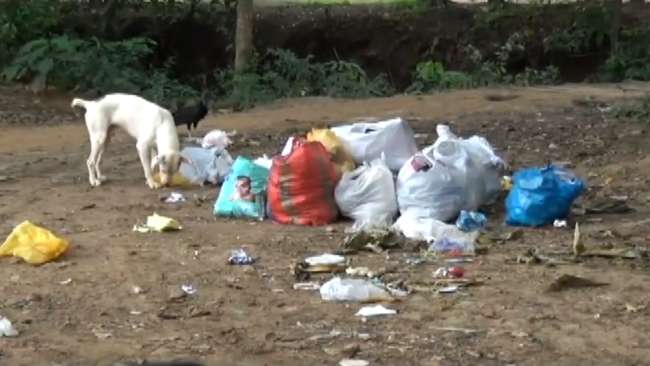 Basura acumulada genera malestar entre vecinos de asentamientos humanos ...