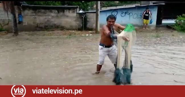 Lluvia causan estragos en diversas partes de San Martin - VIA Televisión