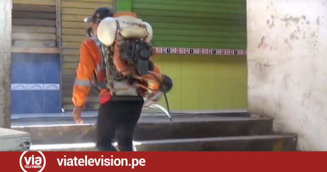 Restringen atenciones en el mercado dos por labores de fumigación - VIA ...