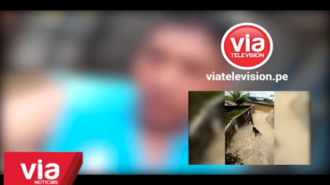 Hombre que registró asesinato de un perro solicita comprensión por no evitarlo Hombre que registró asesinato de un perro solicita comprensión por no evitarlo