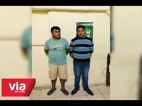 Incautan más de 4 mil pies de madera que se transportaba aparentemente de manera ilegal Incautan más de 4 mil pies de madera que se transportaba aparentemente de manera ilegal