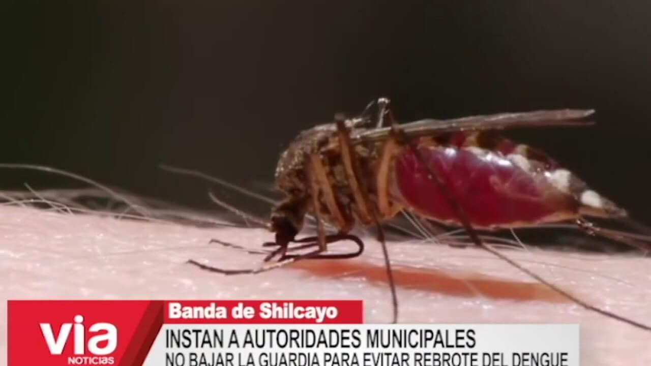 Confirman que casos de dengue han disminuido en la región San Martín Confirman que casos de dengue han disminuido en la región San Martín