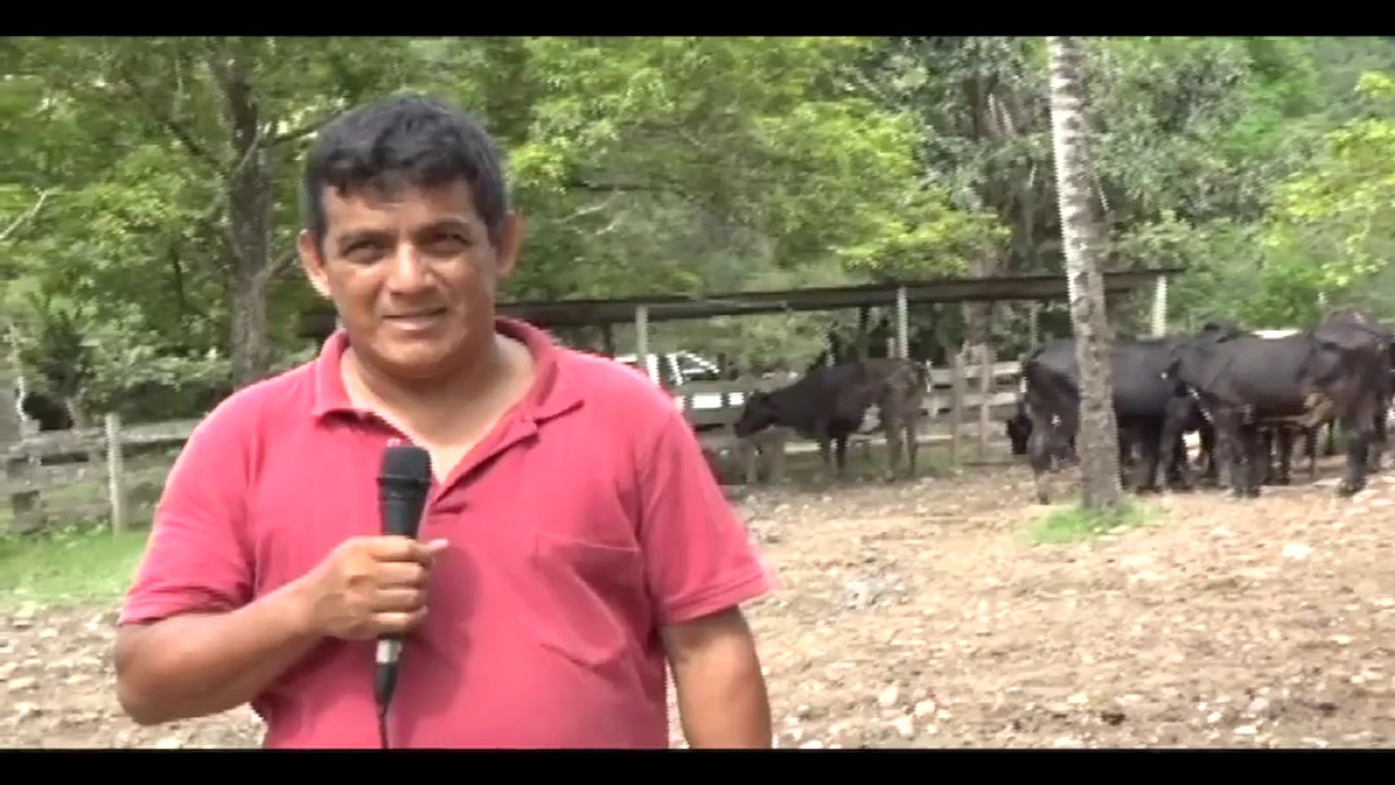 Opiniones sobre plan ganadero de la región San Martín Opiniones sobre plan ganadero de la región San Martín