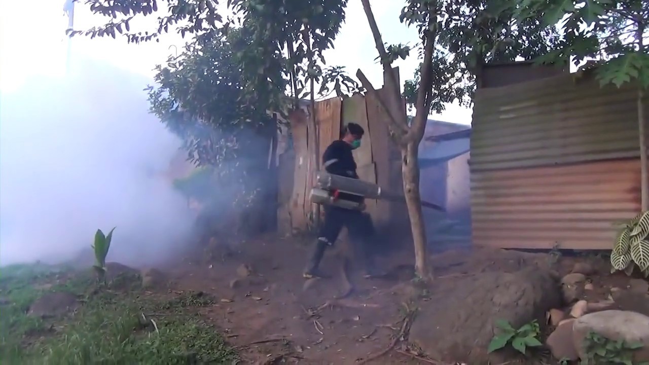 Encuentran más criaderos de zancudo transmisor del dengue en provincia de San Martín Encuentran más criaderos de zancudo transmisor del dengue en provincia de San Martín