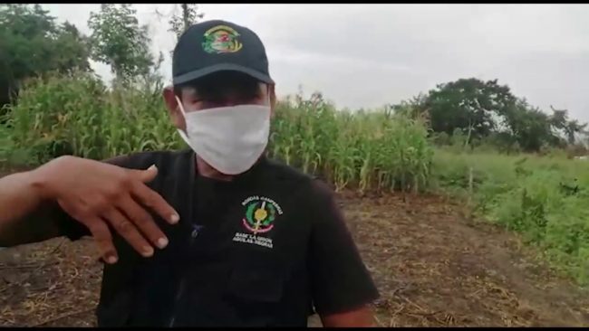 Joven es asesinado mientras libaba en plena orden de inamovilidad Joven es asesinado mientras libaba en plena orden de inamovilidad