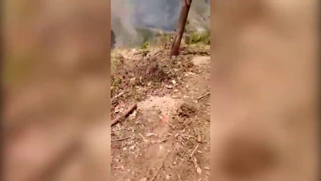 Sindican a subprefecto de Shapaja de ocasionar incendio forestal Sindican a subprefecto de Shapaja de ocasionar incendio forestal