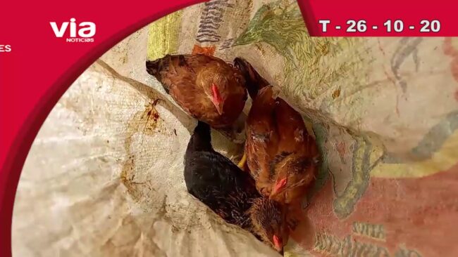 Titulares 26 de octubre del 2020 – VIA Noticias de Tarapoto Titulares 26 de octubre del 2020 – VIA Noticias de Tarapoto