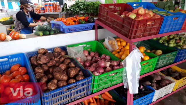 Denuncian proliferación de cucarachas en mercado del distrito de La Banda de Shilcayo Denuncian proliferación de cucarachas en mercado del distrito de La Banda de Shilcayo