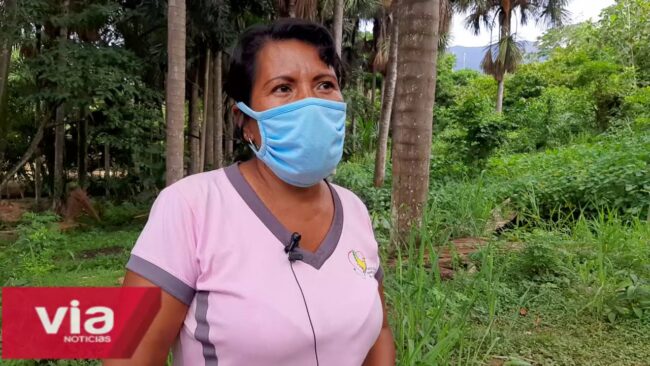 Continúan denuncias de invasión en áreas verdes de la Banda de Shilcayo Continúan denuncias de invasión en áreas verdes de la Banda de Shilcayo