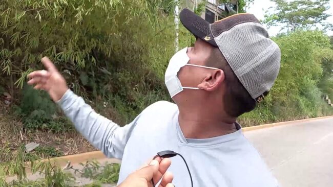 Talarán árboles que son un peligro en alameda que une Tarapoto y La Banda de Shilcayo Talarán árboles que son un peligro en alameda que une Tarapoto y La Banda de Shilcayo