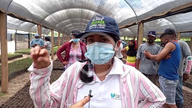 La Banda de Shilcayo: trabajadores de Proyecto Agroforestal impagos desde hace dos meses