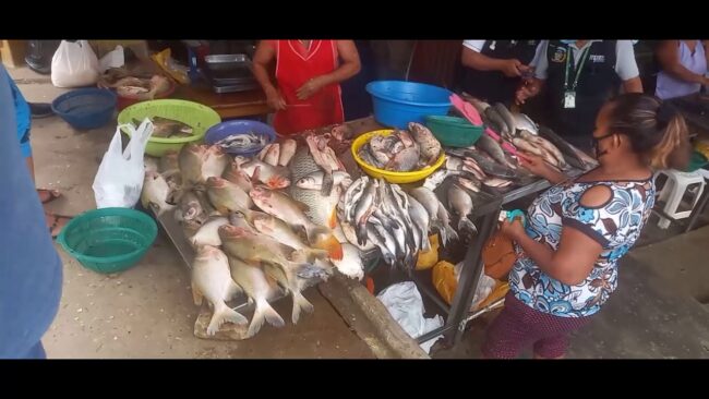 Tarapoto: inspeccionan locales de venta de pescado en barrio Comercio Tarapoto: inspeccionan locales de venta de pescado en barrio Comercio