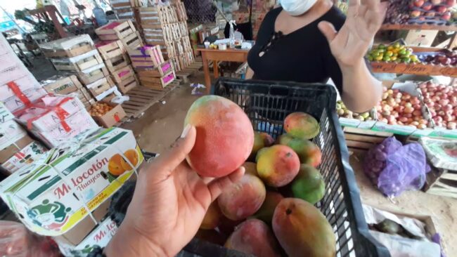 Corroboran si mercado mayorista cumple con protocolos de bioseguridad Corroboran si mercado mayorista cumple con protocolos de bioseguridad