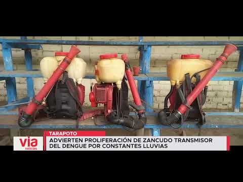 Advierten proliferación de zancudo transmisor del dengue por constantes lluvias Advierten proliferación de zancudo transmisor del dengue por constantes lluvias