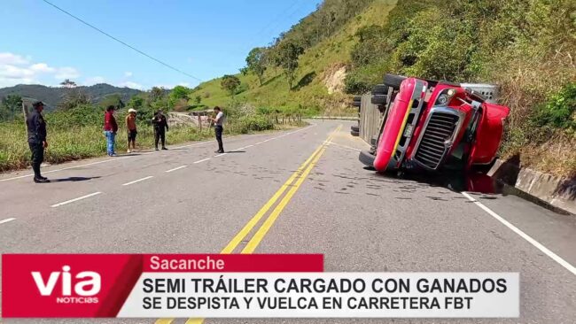 Semi tráiler cargado con ganados se despista y vuelca en carretera FBT Semi tráiler cargado con ganados se despista y vuelca en carretera FBT