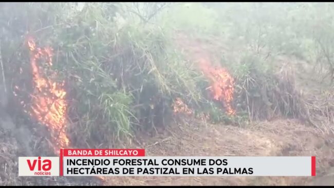 Incendio forestal consume dos hectáreas de pastizal en Las Palmas