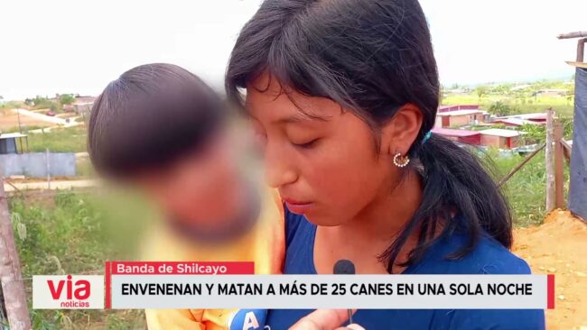Envenenan y matan a más de 25 perros en una sola noche en La Banda de Shilcayo Envenenan y matan a más de 25 perros en una sola noche en La Banda de Shilcayo