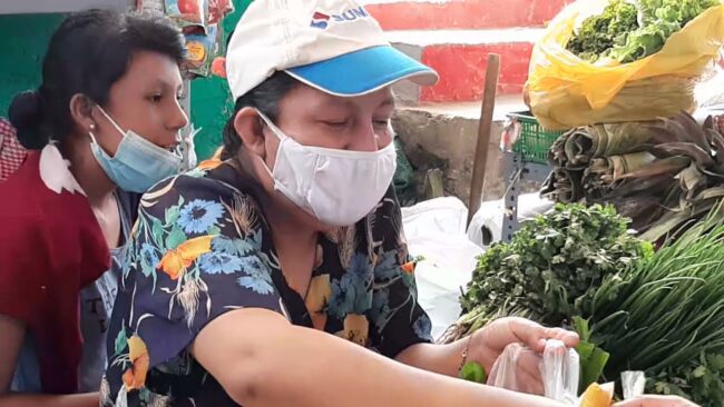 Realizan jornadas de erradicación de insectos en mercado bandino Realizan jornadas de erradicación de insectos en mercado bandino