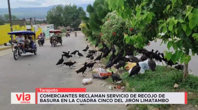 Comerciantes reclaman servicio de recojo de basura en la cuadra cinco ...