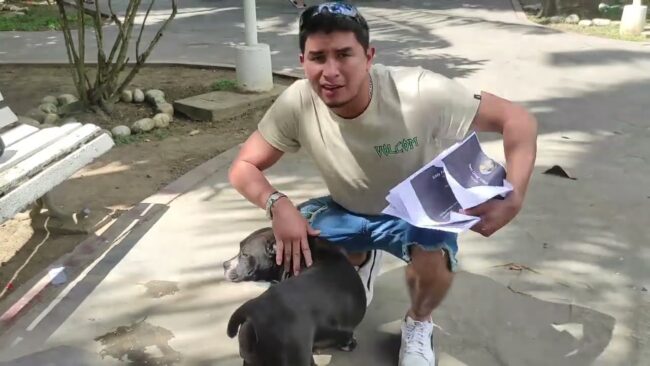 Joven sindicado de agredir a una mascota da su versión de los hechos Joven sindicado de agredir a una mascota da su versión de los hechos