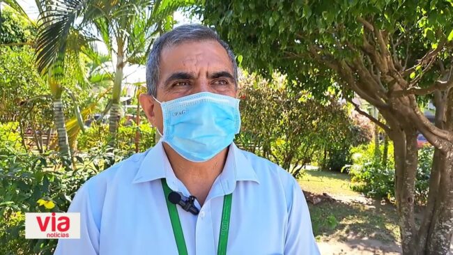 Clausuran tapicerías por carecer de plan de control de plagas y roedores Clausuran tapicerías por carecer de plan de control de plagas y roedores
