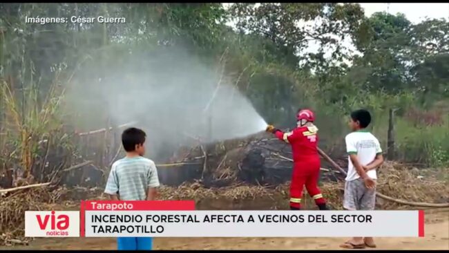 Incendio forestal afecta a vecinos del sector Tarapotillo