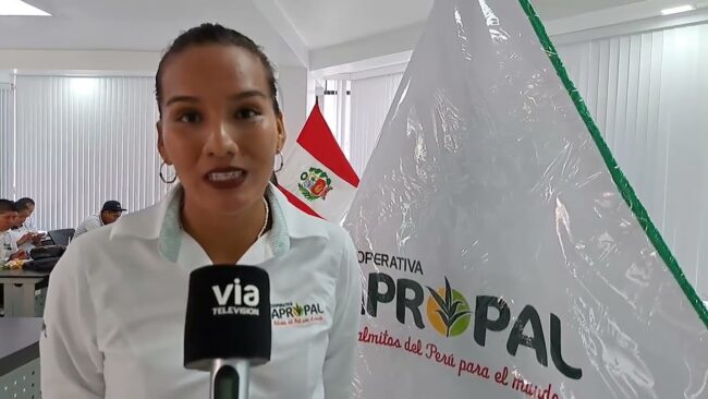 Coorperativa APROPAL exporta conservas del sub producto de palmito con corte tipo medallones Coorperativa APROPAL exporta conservas del sub producto de palmito con corte tipo medallones