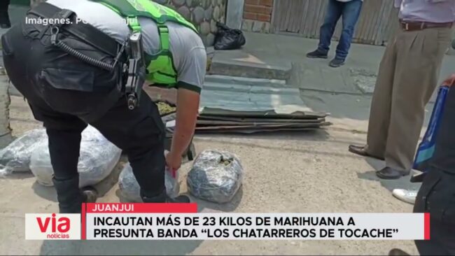 Incautan más de 23 kilos de marihuana a  presunta banda “Los chatarreros de Tocache”