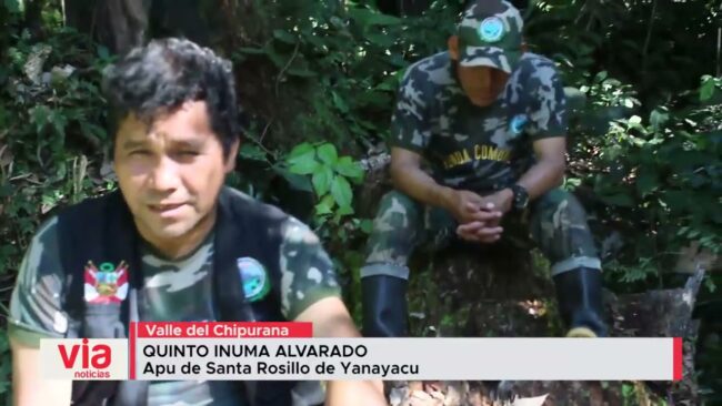 Indígenas de Santa Rosillo de Yanayacu se organizan para luchar contra la tala de árboles
