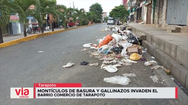 Montículos de basura y gallinazos invaden el barrio comercio de Tarapoto