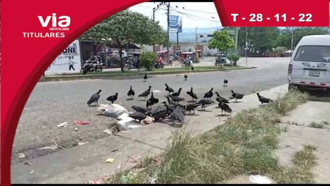 Titulares 28 de noviembre del 2022 – VIA Noticias de Tarapoto Titulares 28 de noviembre del 2022 – VIA Noticias de Tarapoto