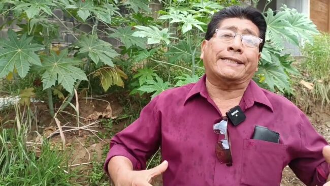 Exigen a la Logia Masónica a realizar mantenimiento de maleza en uno de sus terrenos Exigen a la Logia Masónica a realizar mantenimiento de maleza en uno de sus terrenos