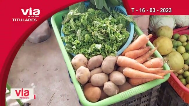 Titulares 16 de marzo del 2023 – VIA Noticias de Tarapoto