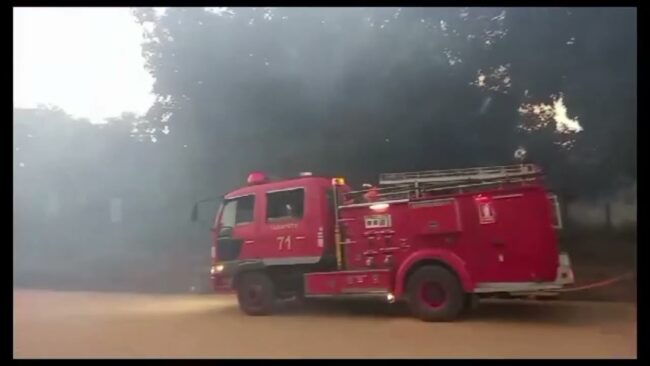 Incendio forestal causa alarma en vecino de la carretera al caserío La Unión