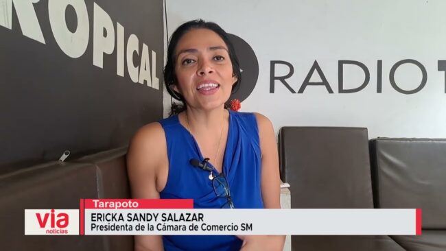 Presidenta de cámara de comercio critica la «Segunda toma de Lima» Presidenta de cámara de comercio critica la «Segunda toma de Lima»