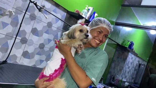 ¡Embellece a tu mascota en Clínica Veterinaria Fertiselva! ¡Embellece a tu mascota en Clínica Veterinaria Fertiselva!