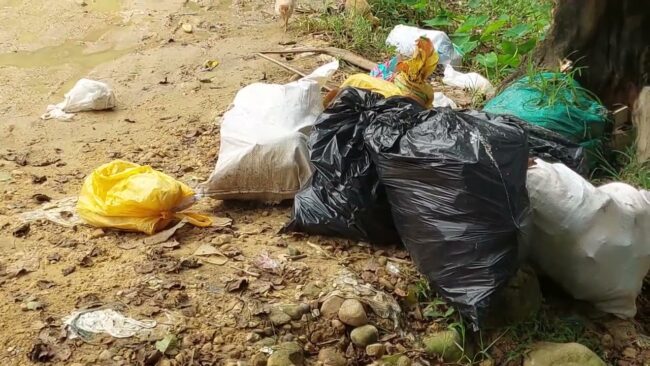 Aguas servidas contaminan significativamente quebrada Choclino Aguas servidas contaminan significativamente quebrada Choclino