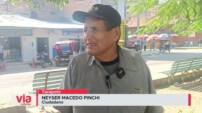 Solicitan mejorar el mantenimiento de la alameda Fernando Belaúnde Terry