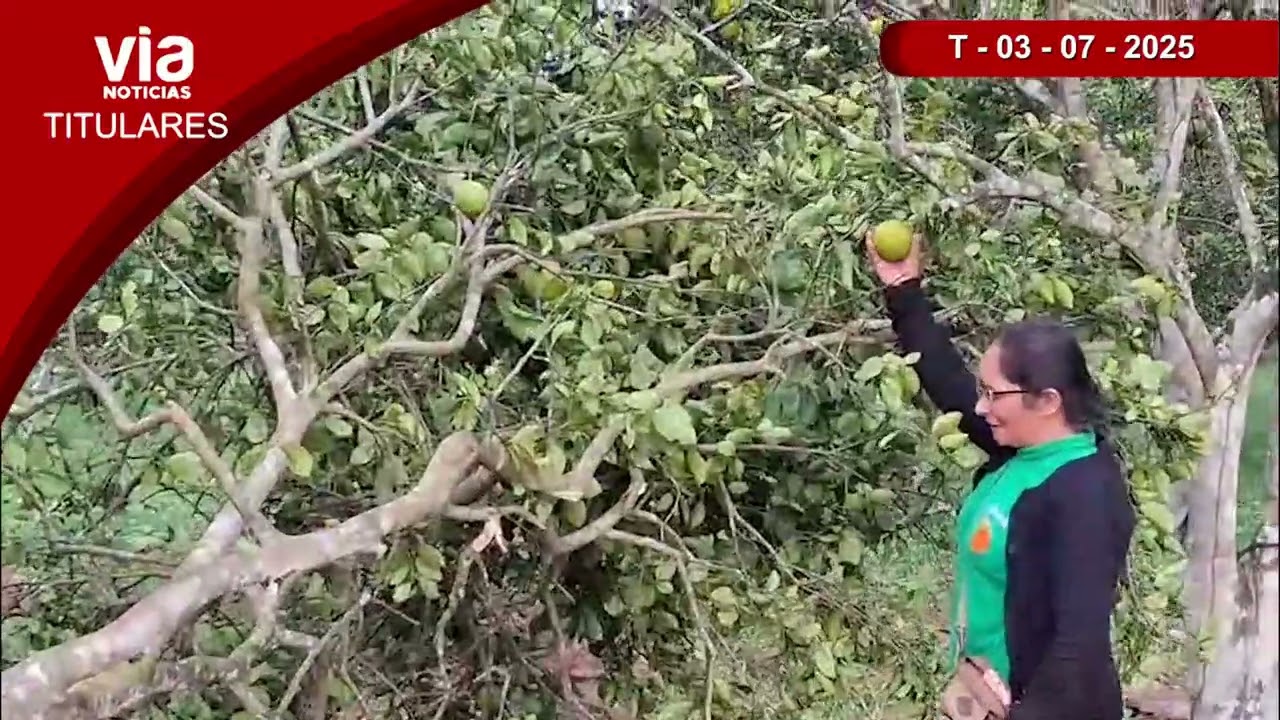 Titulares 03 de julio de 2025 – VIA Noticias de Tarapoto