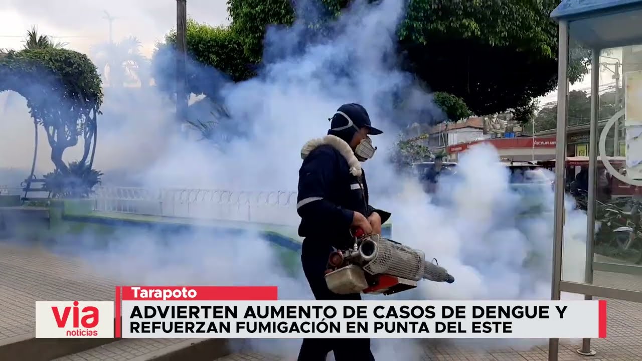 Advierten aumento de casos de dengue y refuerzan fumigación en Punta del Este Advierten aumento de casos de dengue y refuerzan fumigación en Punta del Este