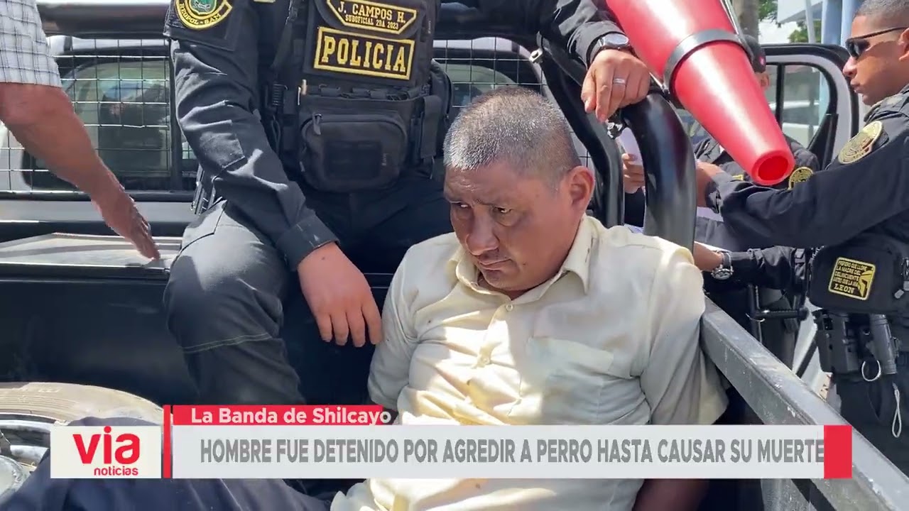 Hombre fue detenido por agredir a perro hasta causar su muerte - VIA ...