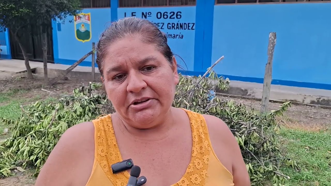 Pobladores exigen explicaciones por tala de naranjos en colegio Pobladores exigen explicaciones por tala de naranjos en colegio